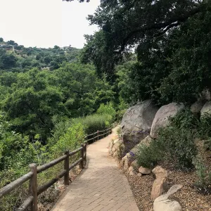 Campbell Trail