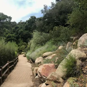 Campbell Trail