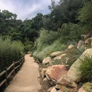 Campbell Trail
