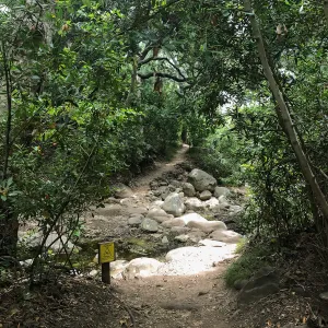 Lower Creek Crossing