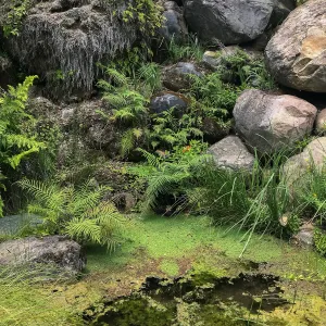 Dripping Rock in the Arroyo Section