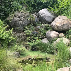 Dripping Rock in the Arroyo Section