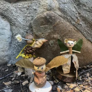 Fairy Homes