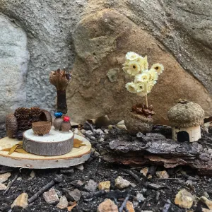 Fairy Homes