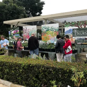 Building Habitat in Your Home Garden class with Stephanie Ranes