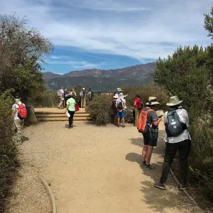 Carpinteria Bluffs and Marsh Field Trip