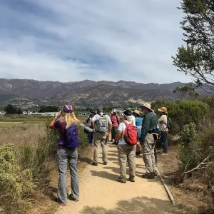 Carpinteria Bluffs and Marsh Field Trip