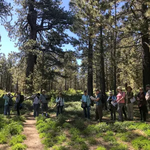 Mt. PiÃ±os field trip