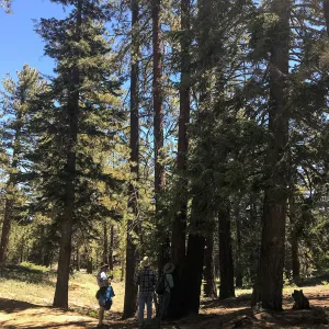 Mt. PiÃ±os field trip