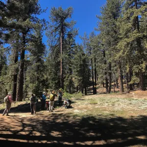 Mt. PiÃ±os field trip