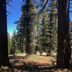 Mt. PiÃ±os field trip