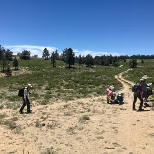 Mt. PiÃ±os field trip