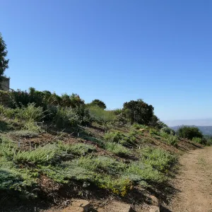 Pritzlaff Conservation Center west slope