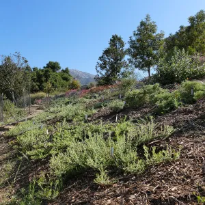 Pritzlaff Conservation Center west slope