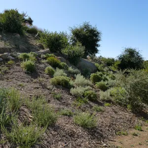 Pritzlaff Conservation Center west slope