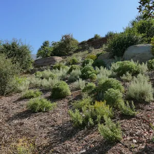 Pritzlaff Conservation Center west slope