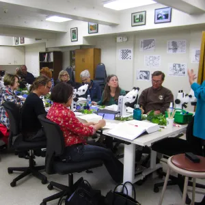 Advanced Plant Identification with Mary Carroll