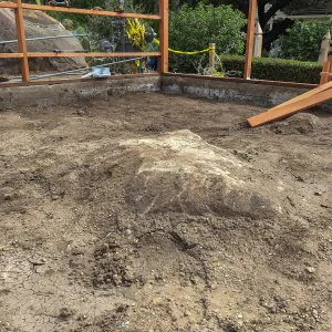 Repair of Garden Growers Lath House, looking northeast