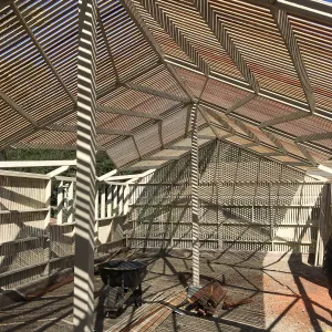 Lath house reconstruction completed, looking northeast