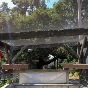 Repair of Garden Growers shade structure, looking south