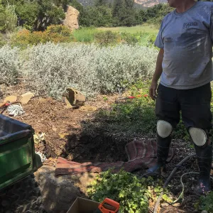 Waterleak at south end of Ground Cover display