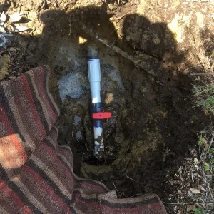 Waterleak at south end of Ground Cover display