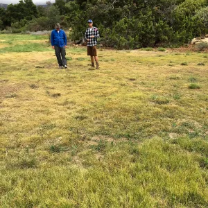 Meadow meeting Bruce Reed, Wes Franken