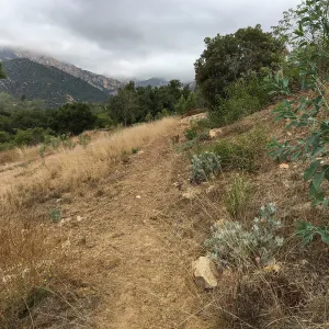 New Trail, Island Section below PCC