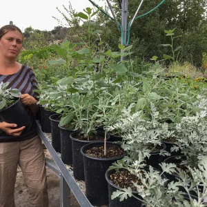 Heather Federlein in the can yard