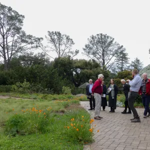 2020 Blaksley Bliss Brunch, Meadow Tour