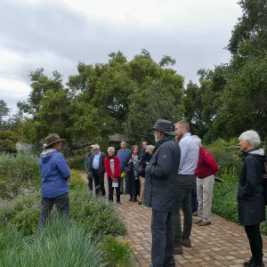 2020 Blaksley Bliss Brunch, Meadow Tour