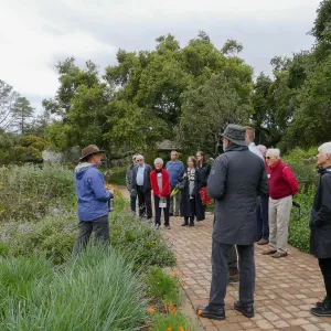 2020 Blaksley Bliss Brunch, Meadow Tour