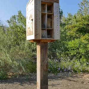 Native Bee Condo on the Porter Trail