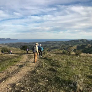View of Santa Cruz Island, Hike to Black Mountain