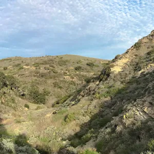 Trail and canyon walls, Cherry Canyon