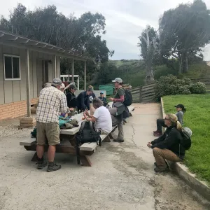 Santa Rosa Island Research Station Lodge Picnic Table