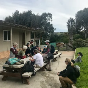 Santa Rosa Island Research Station Lodge Picnic Table
