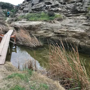 Footbridge, Water Canyon