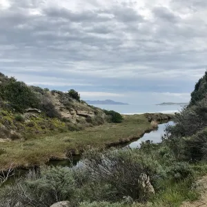 View of ocean and Santa Cruz Island, Above Water Canyon