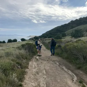 Torrey Pines, Santa Cruz Island, Hike to Torrey Pines