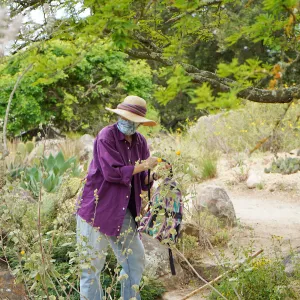 Visitor at Desert Section, First day of limited reopening to members, after COVID-19 pandemic closure