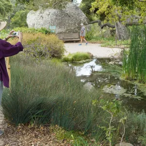 Visitor at Bessie Bullard Pond, First day of limited reopening to members, after COVID-19 pandemic closure