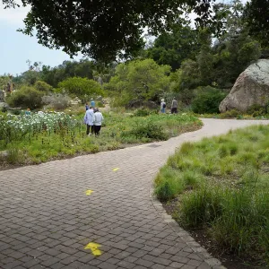 One-way directional arrows, First day of limited reopening to members, after COVID-19 pandemic closure
