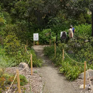 First day of limited reopening to members, after COVID-19 pandemic closure