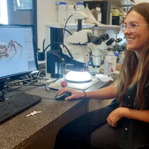 Carly Yarnell, a volunteer and UCSB senior, is taking a picture of a Ground Crab Spider (Xysticus)