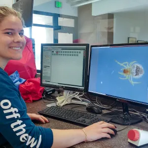 UCSB intern Samantha Taylor is imaging an Araneus Orb Weaver