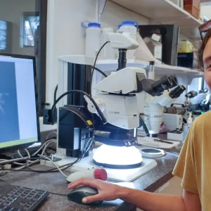 Sara Kovalsky is an intern from UCSB, here imaging a mite that hasn't yet been identified to family.