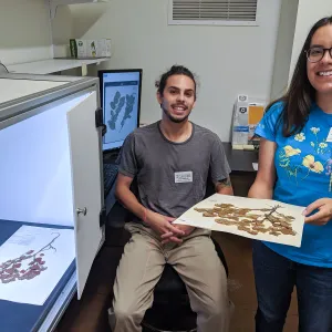 Eli Balderas and Susanna Delgadillo working on the herbarium specimen imaging project