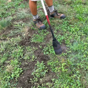 Using propane torch to kill weed seedlings in the Meadow