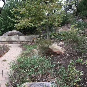 Campbell Bench, Wooded Dell garden